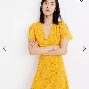Madewell Silk Belladonna Dress in Painted Carnations